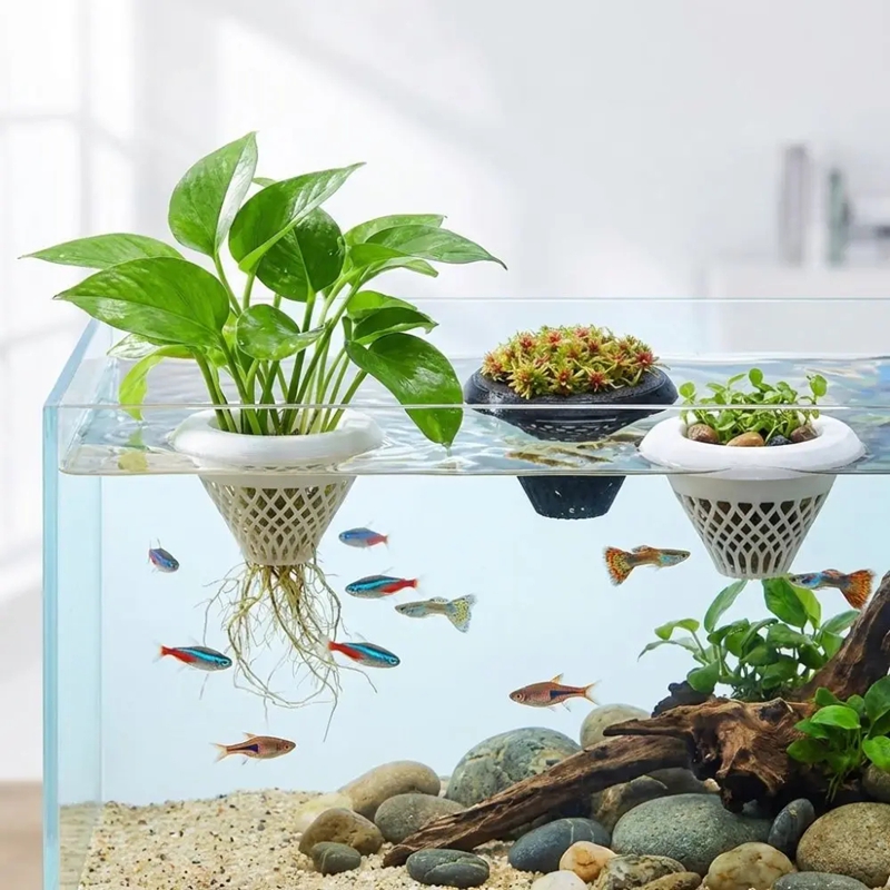 Planted Aquarium Jar - Floating Aquarium Plant Pot, 3D Water