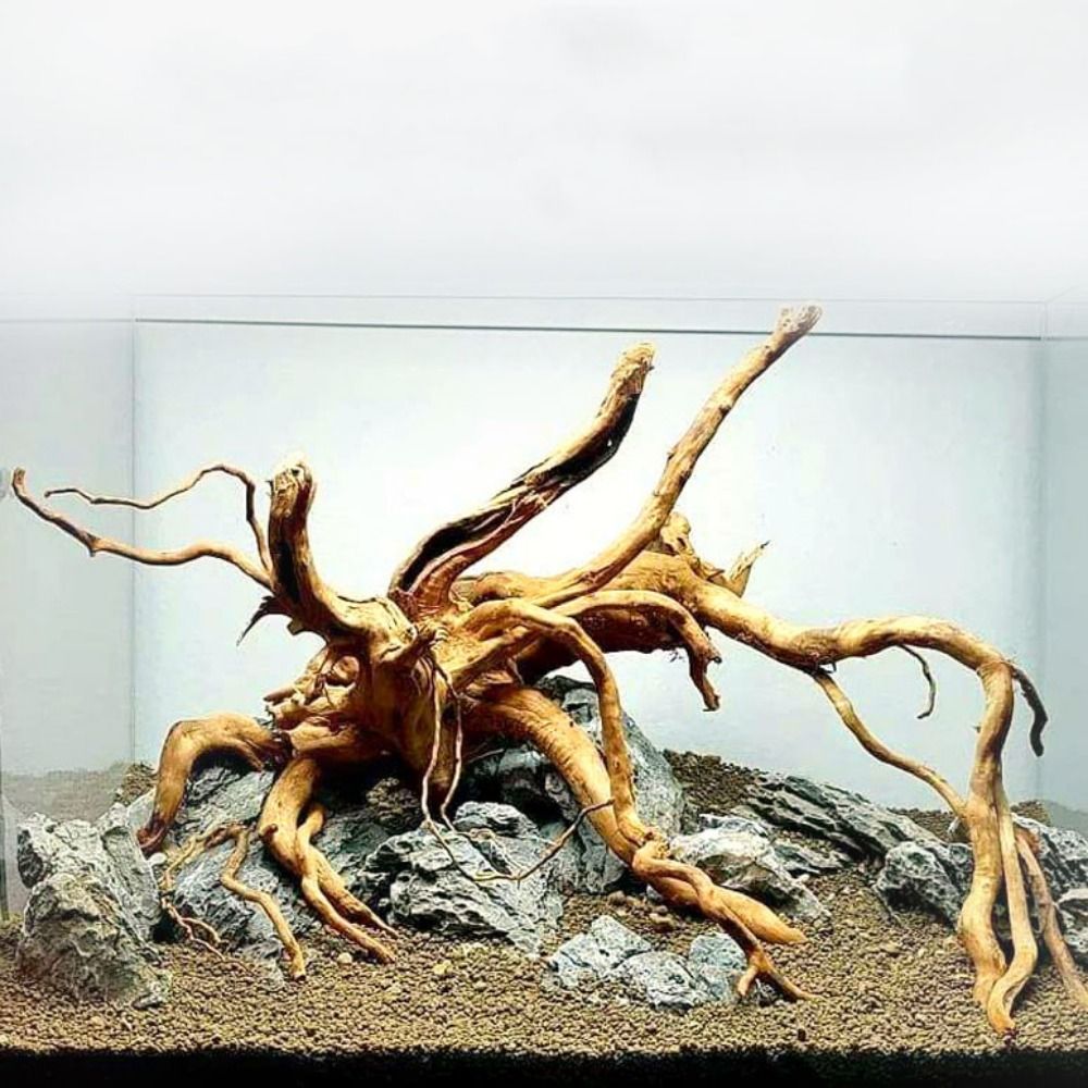 Planted Aquarium Media - 20-25CM Large Aquarium Driftwood Natural Fish
