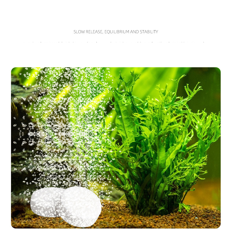 ISTA  Fish Tank Aquarium CO2 T - огляд і ціна Planted Aquarium Without Co2