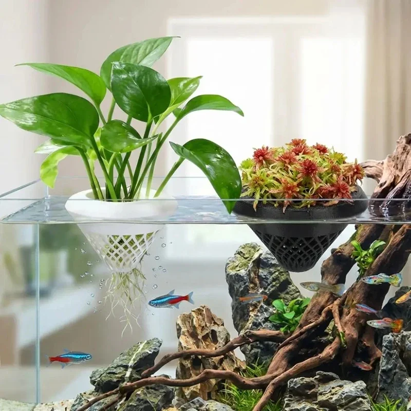 3d Printed Floating Aquarium P - огляд і ціна Planted Aquarium Jar