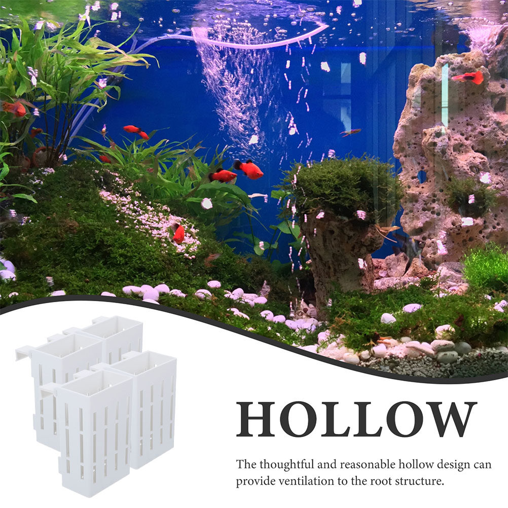 4Pcs Aquatic Plant Holder Hang - огляд і ціна Aquarium Plant Nutrients