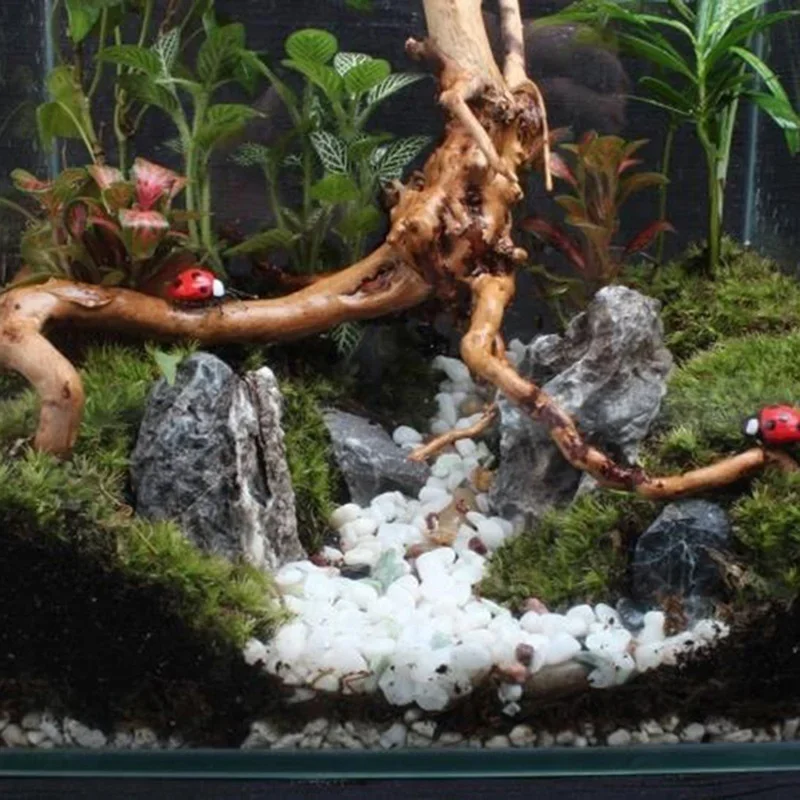Natural Tree Trunk Driftwood A - огляд і ціна Planted Aquarium Media