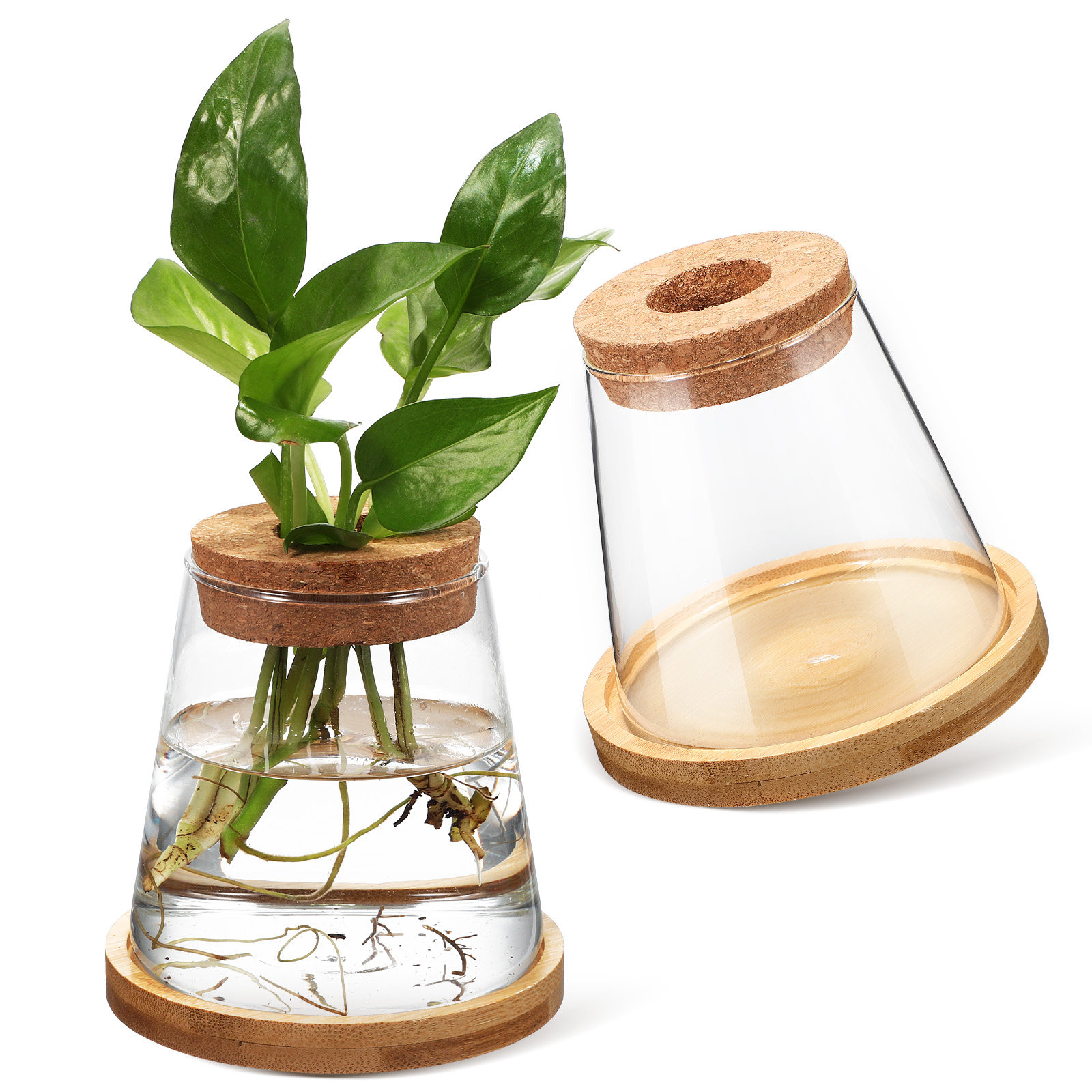 2Pcs Water Planters Glass Prop - огляд і ціна Planted Aquarium Jar