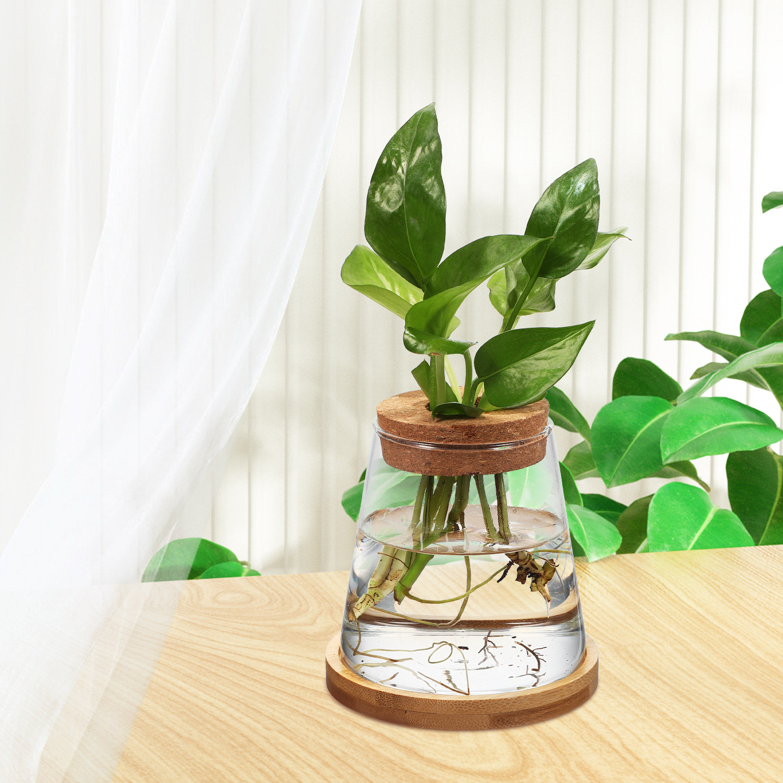 2Pcs Water Planters Glass Prop - огляд і ціна Planted Aquarium Jar