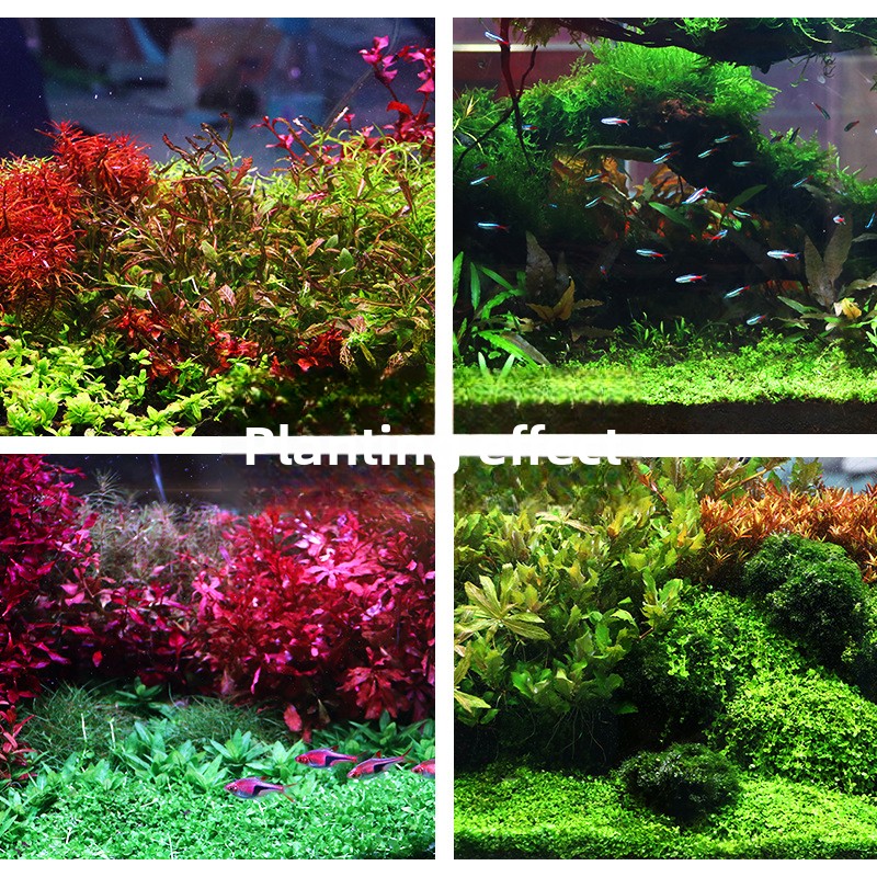 SYSENCIAGA Planted Aquarium Su - огляд і ціна Aquarium Plant Gravel