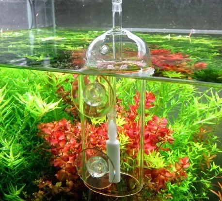 VIV Do Device Aquarium Cylinde - огляд і ціна Aquarium Plant Delivery