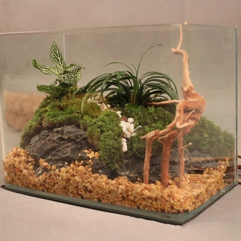 Natural Tree Trunk Driftwood A - огляд і ціна Aquarium Plant Root Tabs