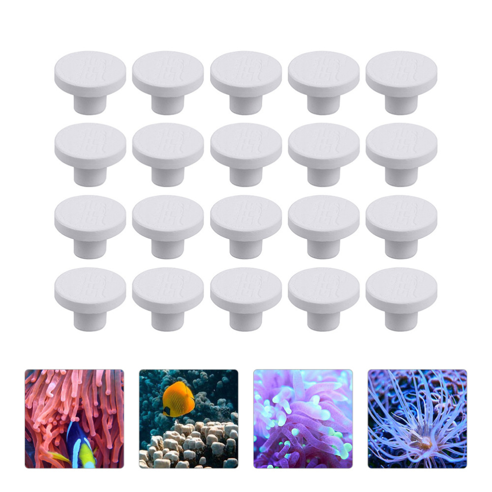 SPS Ceramic Coral Frag Plugs B - огляд і ціна Aquarium Plant Ornament