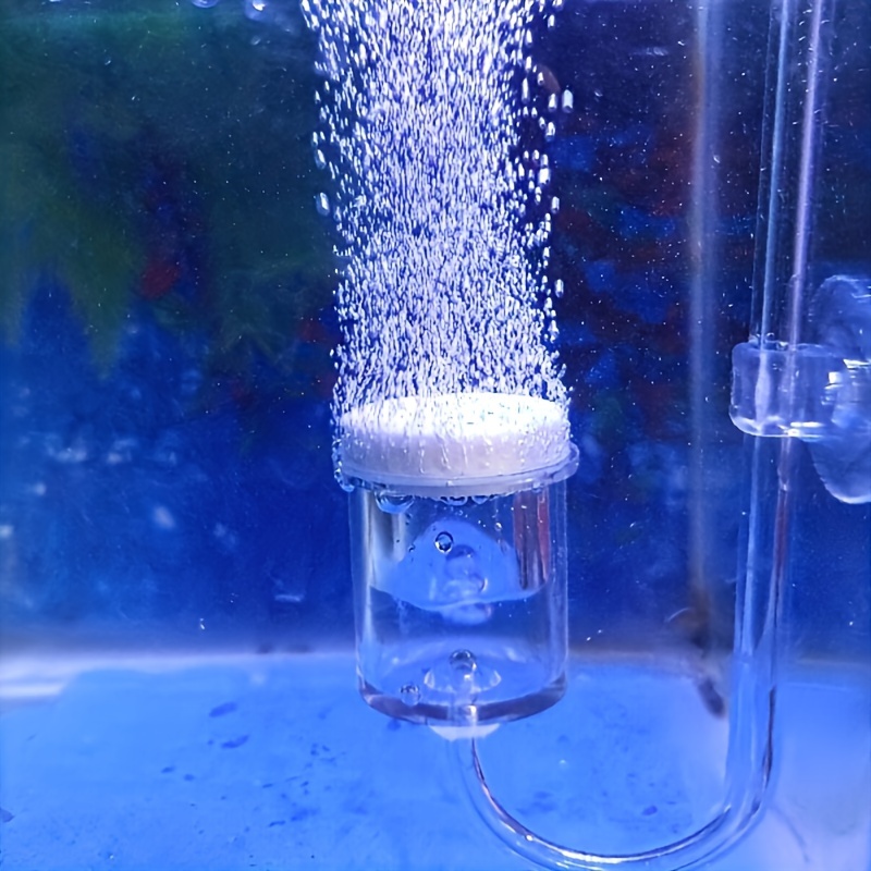 Aquarium Glass CO2 Atomizer Di - огляд і ціна Aquarium Plant Delivery