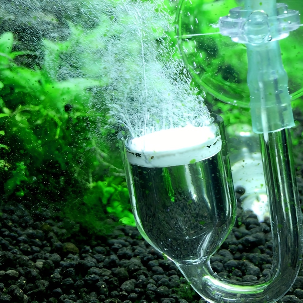Aquarium Glass CO2 Atomizer Di - огляд і ціна Aquarium Plant Delivery