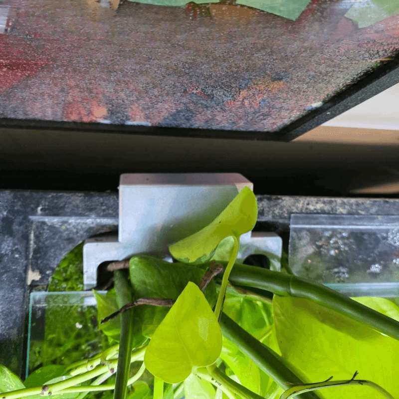 Fish Tank Side Plant Mount Bra - огляд і ціна Aquarium Plant Ornament