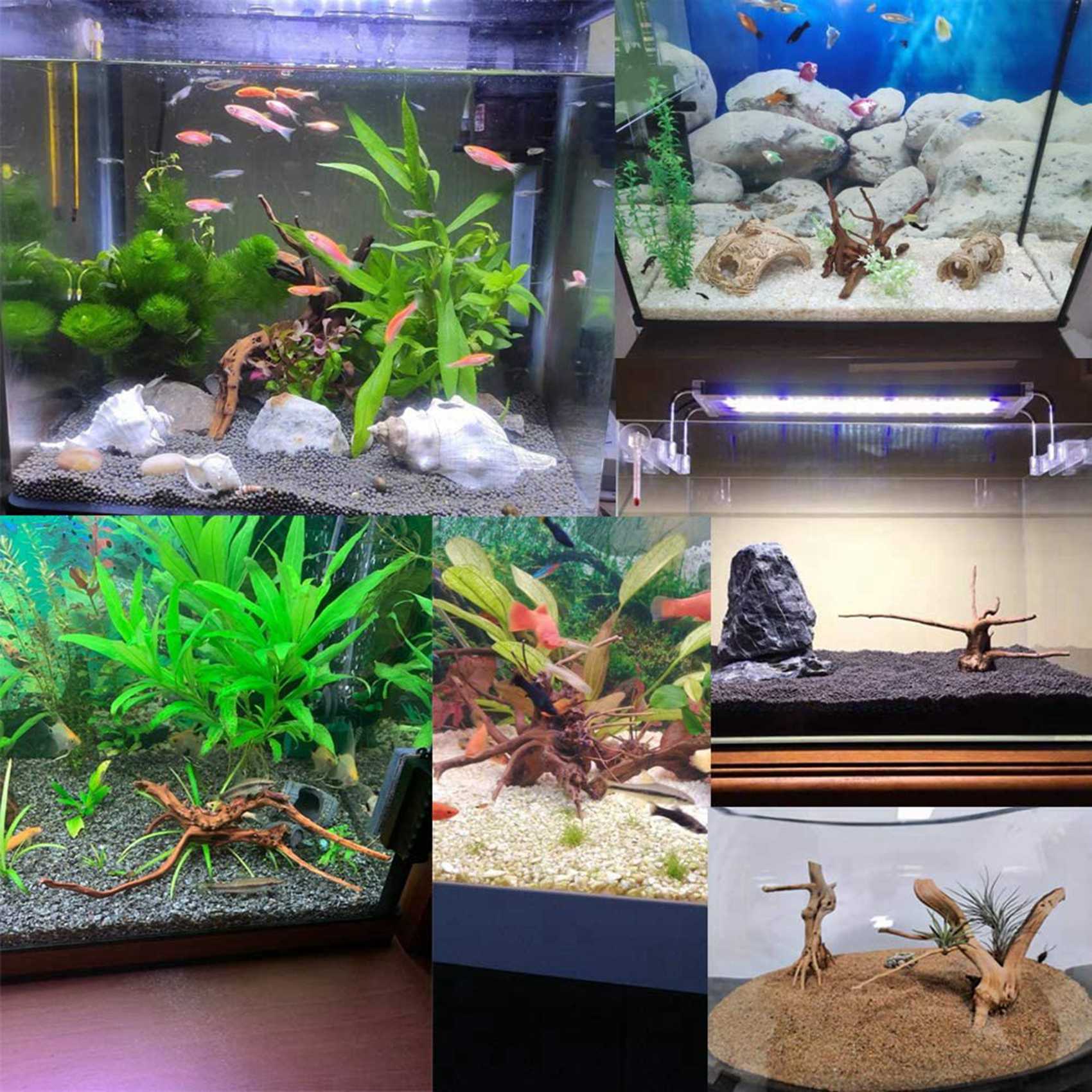 Hot Sale-Mini Driftwood For Aq - огляд і ціна Aquarium Plant Root Tabs