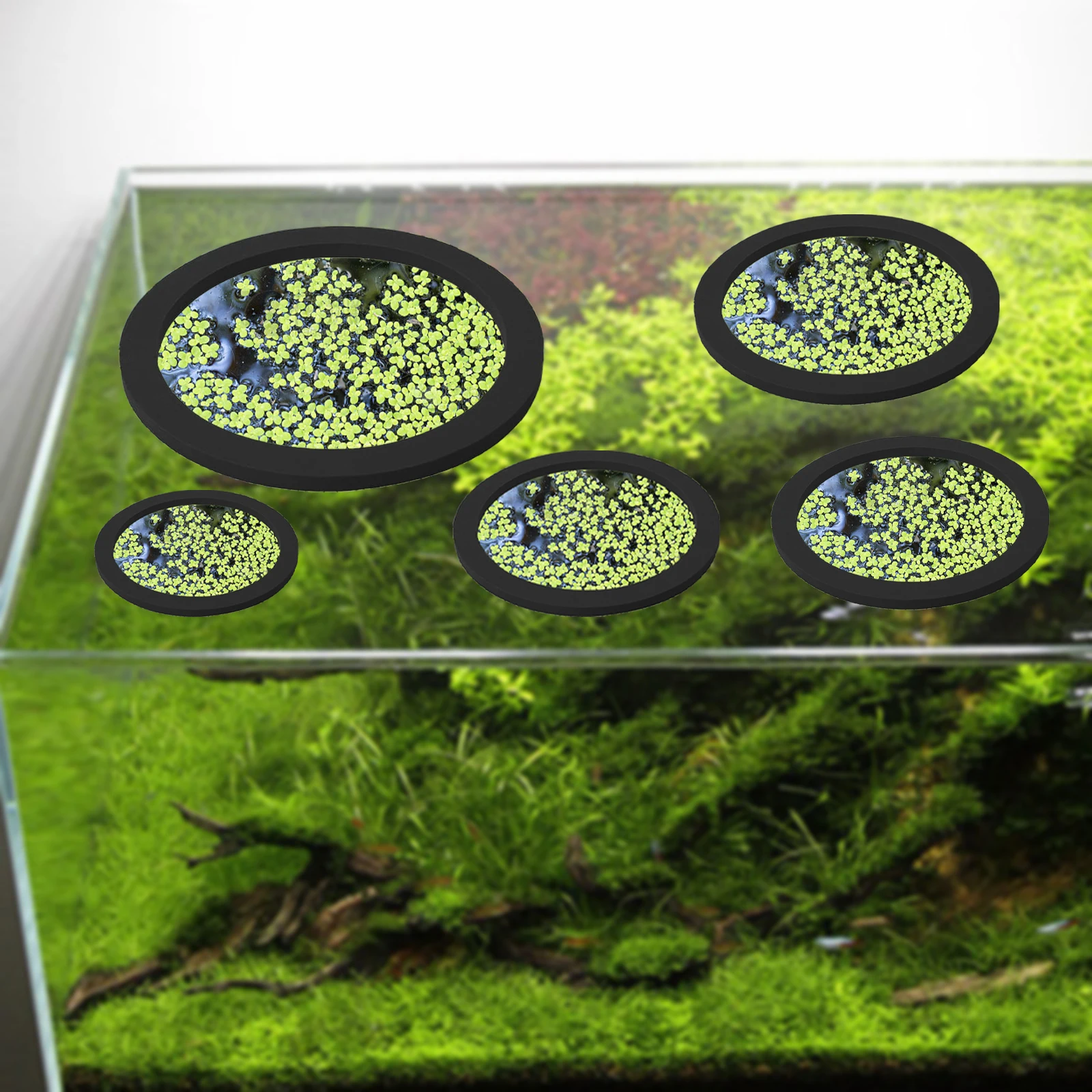 5Pcs EVA Fish Feeding Ring Aqu - огляд і ціна Aquarium Plant Delivery