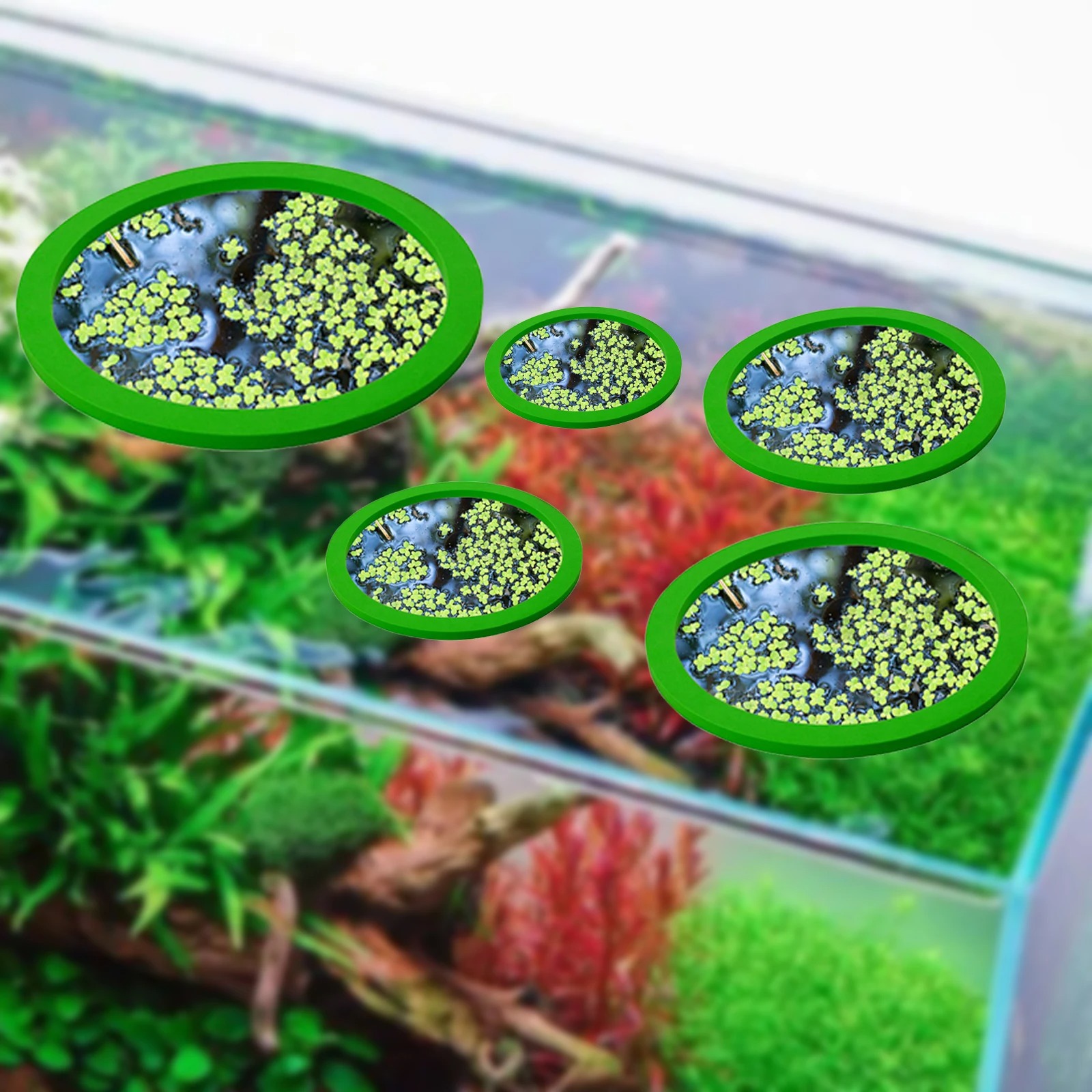 5Pcs EVA Fish Feeding Ring Aqu - огляд і ціна Aquarium Plant Delivery
