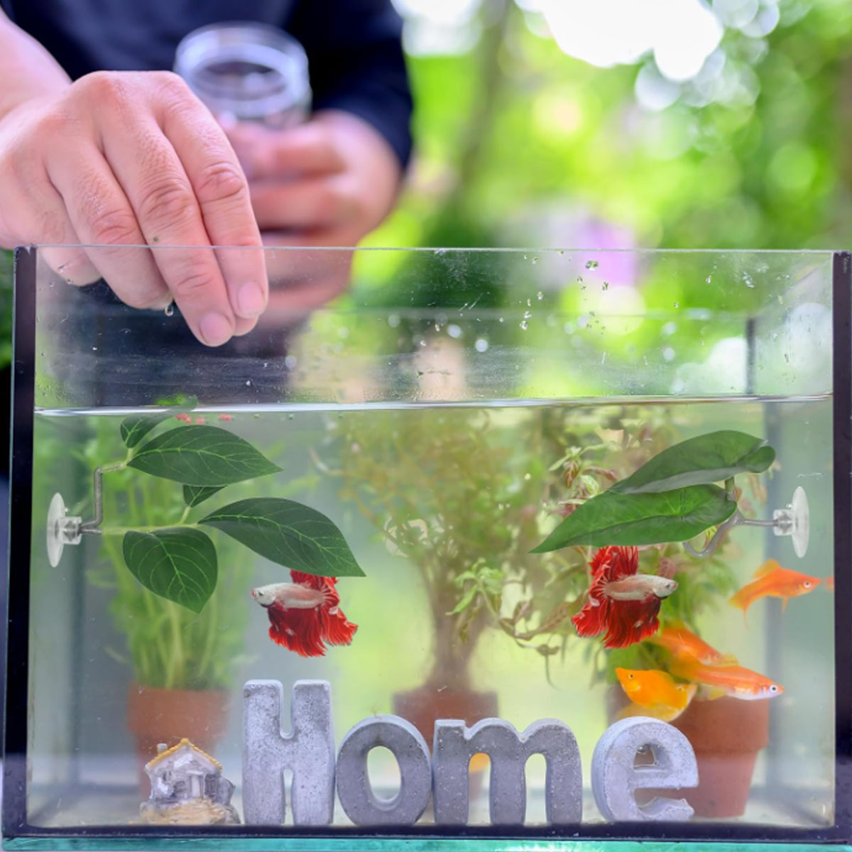 1 PC Betta Fish Hammock Soft A - огляд і ціна Aquarium Plant Ornament