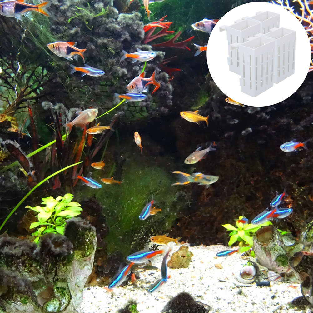 4Pcs Aquatic Plant Holder Hang - огляд і ціна Aquarium Plant Nutrients