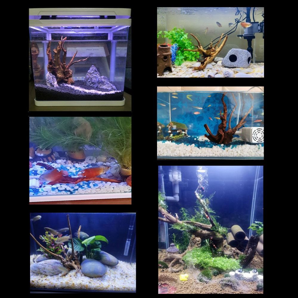 20-25CM Large Aquarium Driftwo - огляд і ціна Planted Aquarium Media