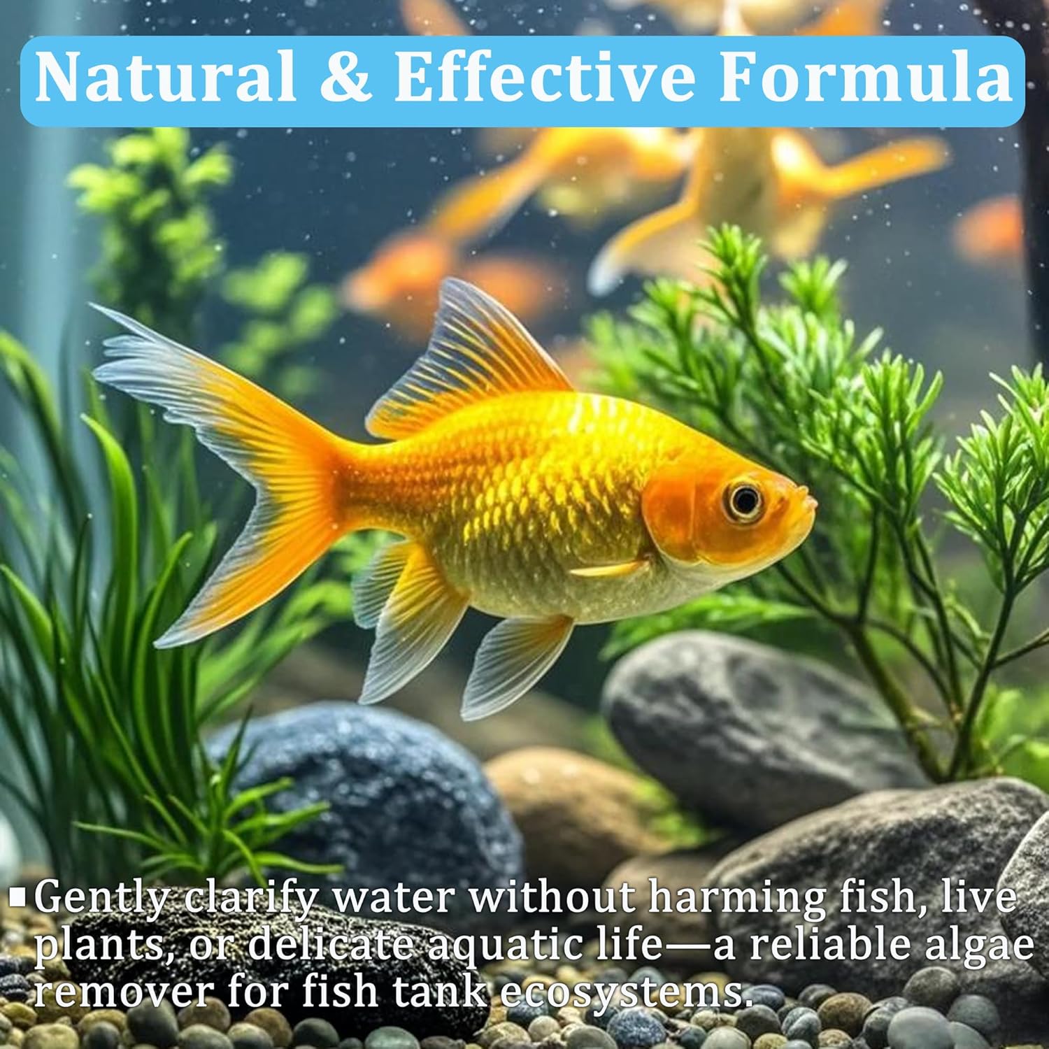 Aquarium Water Purification Ta - огляд і ціна Aquarium Plant Nutrients