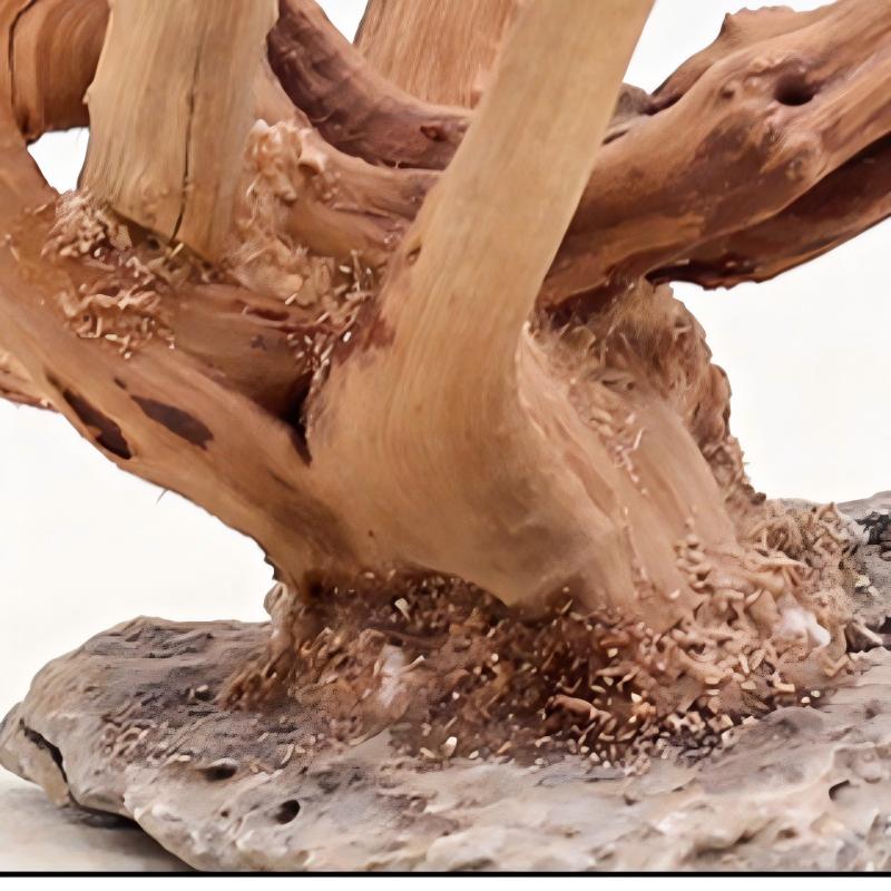 1PC Aquarium Landscaping Wood  - огляд і ціна Planted Aquarium Media