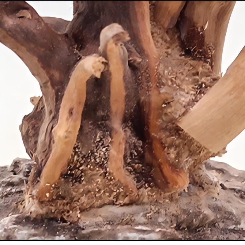 1PC Aquarium Landscaping Wood  - огляд і ціна Planted Aquarium Media