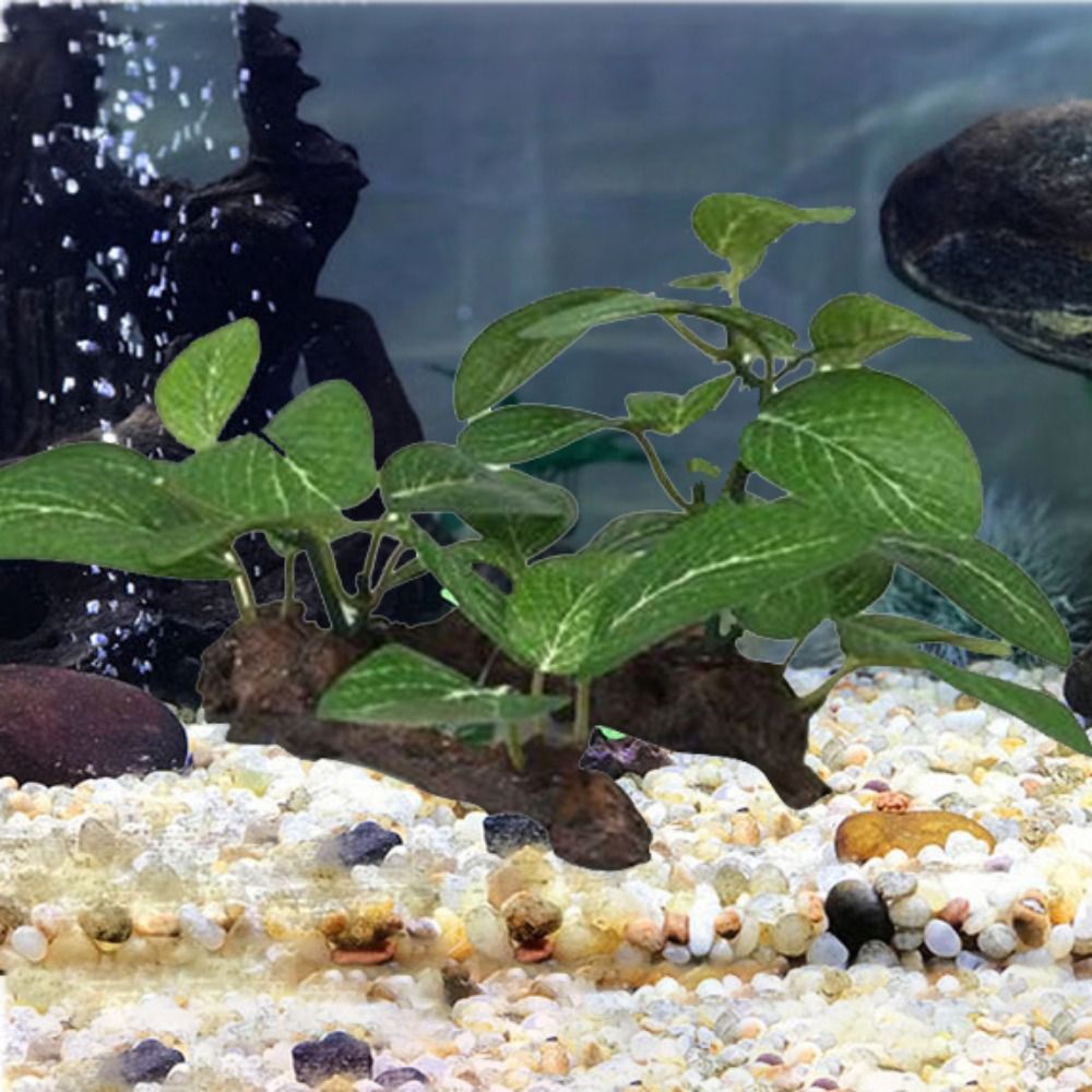 Silk Plastic Realistic for Fis - огляд і ціна Planted Aquarium Jar