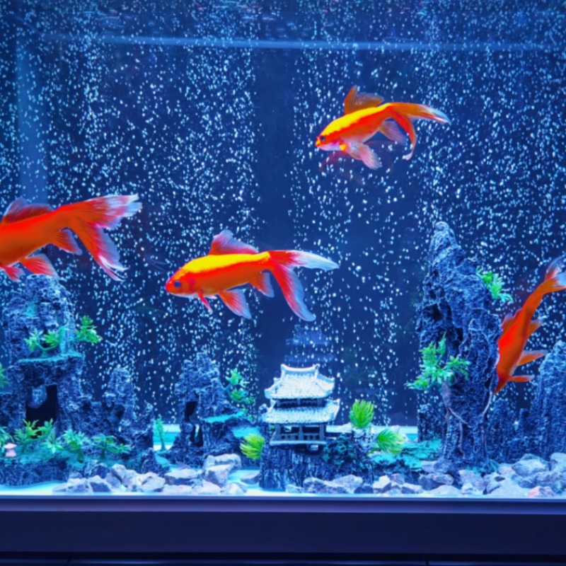Aquarium Decor Stone Rockery C - огляд і ціна Aquarium Plant Root Tabs