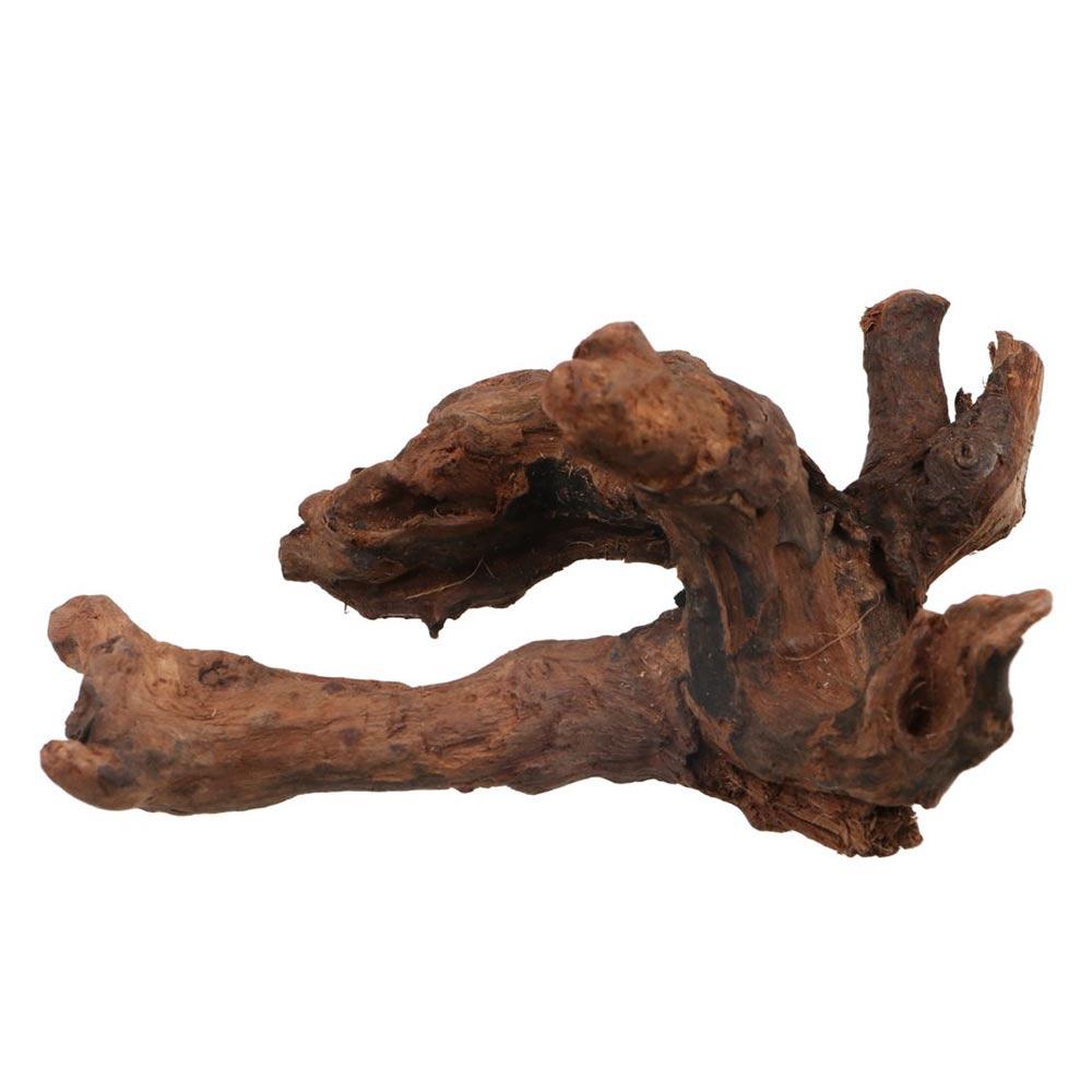 Decorative Irregular Shape Cor - огляд і ціна Aquarium Plant Root Tabs