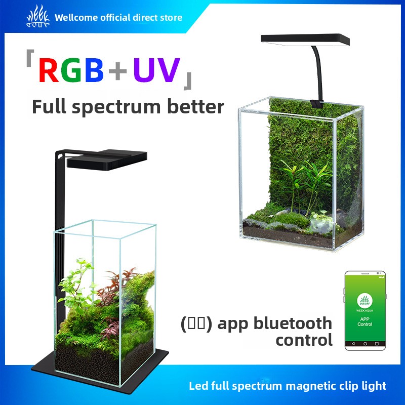 Week Aqua Mini9Pro Magnetic Cl - огляд і ціна Planted Aquarium Jar